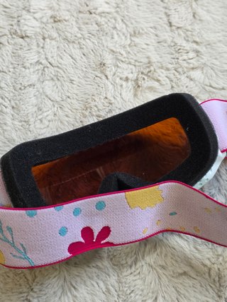 Gafas Esquí Niños Alpina Piney - Poco uso
