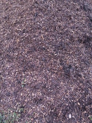 Compost orgánico para jardín