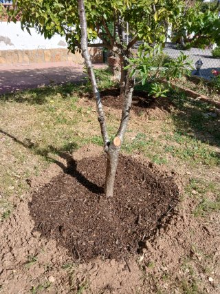Compost orgánico para jardín