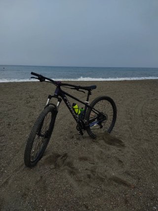 Orbea Onna