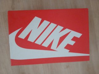 Zapatillas Nike Hombre Plata