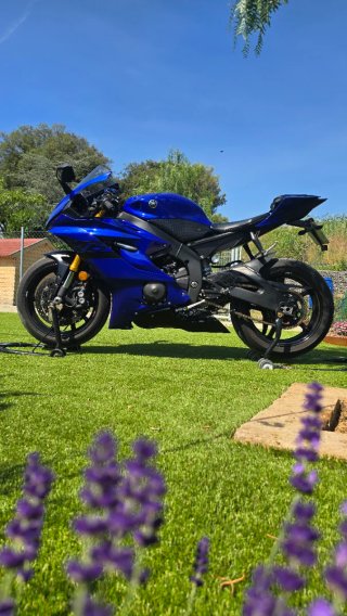 Yamaha YZF R6 2018 Azul