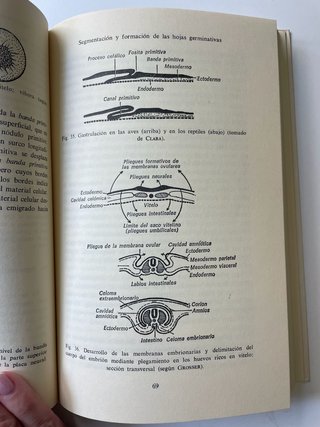 Libro Medicina / Biología