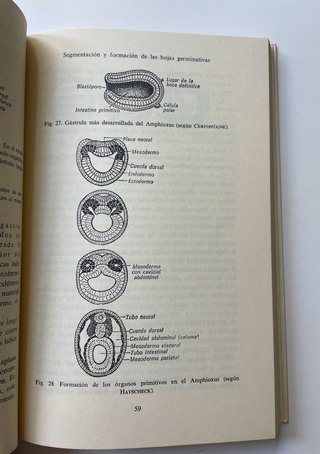 Libro Medicina / Biología