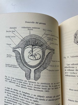 Libro Medicina / Biología
