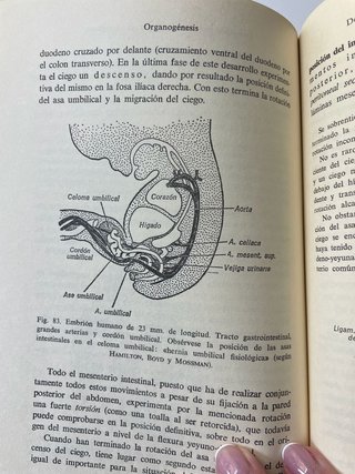 Libro Medicina / Biología