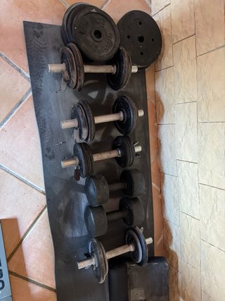 Banco de pesas Domyos con discos