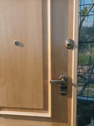 Puerta principal madera clara