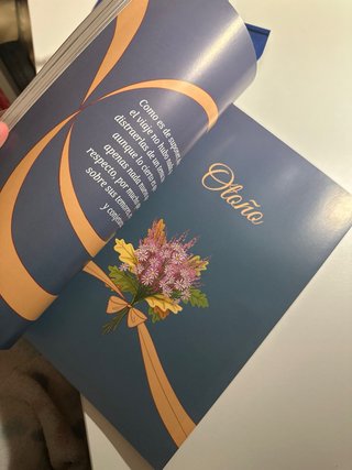 Orgullo y prejuicio: La novela gráfica basada e...