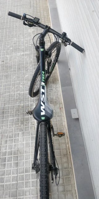 Bicicleta MTB 29 WST Poison Negra-Verde
