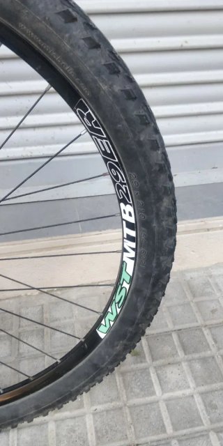 Bicicleta MTB 29 WST Poison Negra-Verde