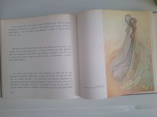 Senos Libro Antiguo