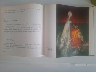 Senos Libro Antiguo