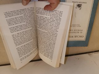 Libros de la colección austral