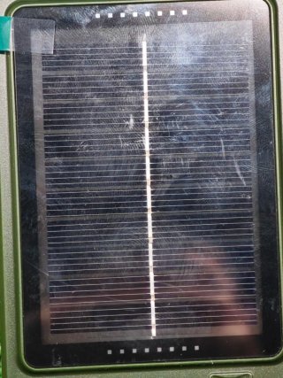 Radio Supervivencia DAB/BT/Music Player Verde