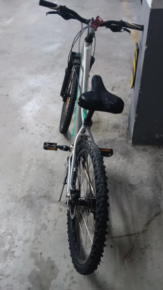 Bicicleta Giant plateada