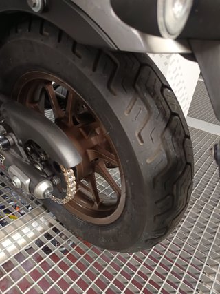 Honda Rebel 500 2024