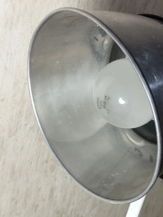 Foco interfit tungsten 3200 con tripode