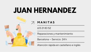 Servicios de manitas