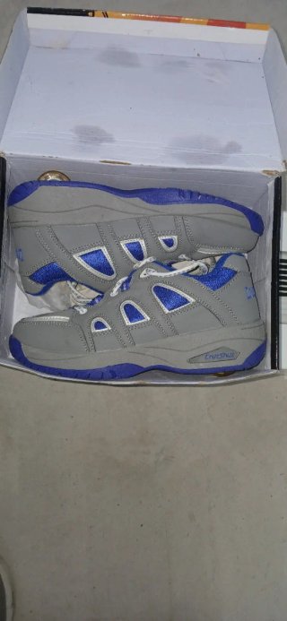 Zapatillas deportivas con ruedas grises y azules