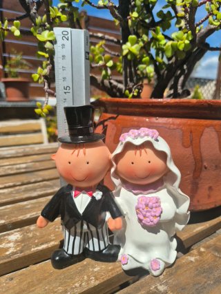 Pareja Novios Tarta Boda Adorno