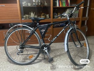 Bicicleta 700c Liam Koontz