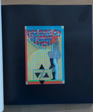Libro I Tarocchi di Andrea Picini