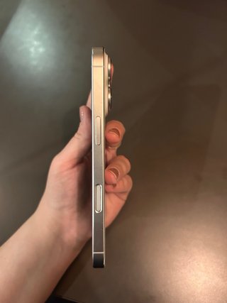 iPhone 16 Pro Titanio Blanco Plateado