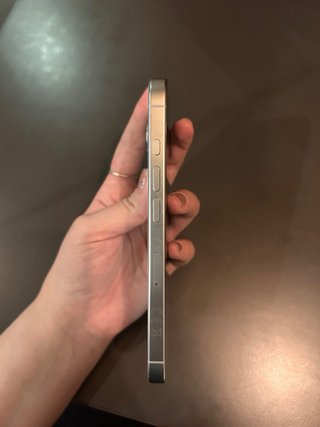 iPhone 16 Pro Titanio Blanco Plateado