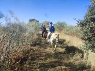 rutas a caballo por el campo