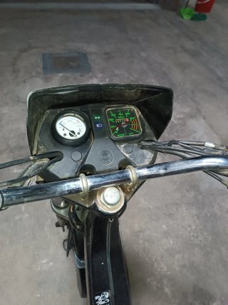 Derbi Variant Sport Negra y Dorada