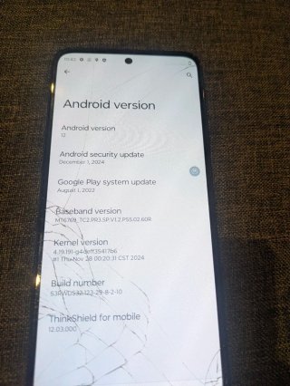 Motorola Moto G31