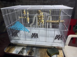 Jaula para pájaros pequeños