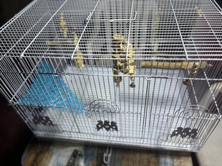 Jaula para pájaros pequeños