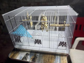 Pack Jaula Aves + Accesorios