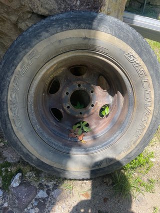 Neumático Nissan Terrano