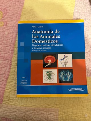 Anatomía de los animales domésticos texto y atl...
