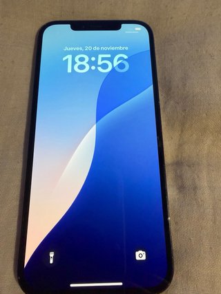 iPhone 12 Pro Max Gris Espacial