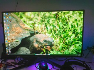Monitor LG 27 OLED 240Hz Funziona perfettamente