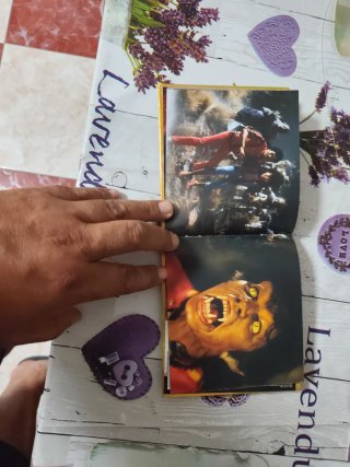 Álbum Michael Jackson Thriller 25