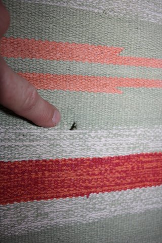 Tappetino cotone righe beige/verde/panna
