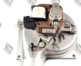 Extractor Caldera Roca Victoria 20-20 F