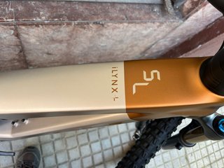 BH iLInK+ SL