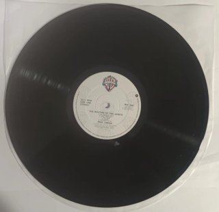 Paul Simon The Rhythm Of The Saints Vinile 1990