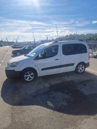 Citroen Berlingo 2009