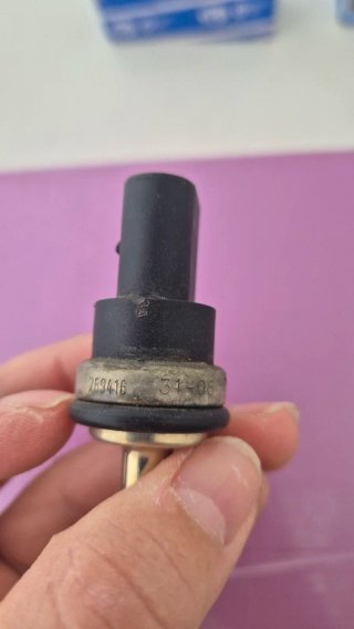Sensor Temperatura Refrigerante Seat Leon 2