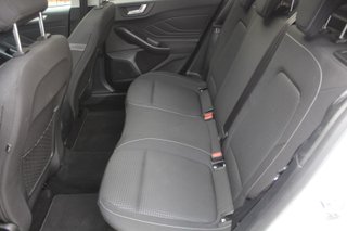 Ford FOCUS 1.0 ECOBOOST 100CV COOL&CONNECT (2021)