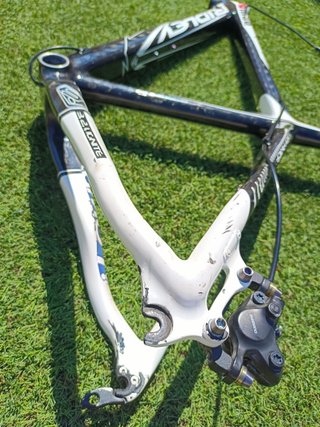 Cuadro Ridley Ignite Carbono