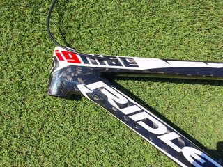 Cuadro Ridley Ignite Carbono