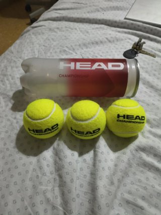 Bolas Head Championship (3 unidades)